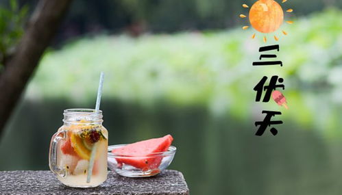 聚丙烯酰胺厂家河南赛诺威提醒大家：今日入伏